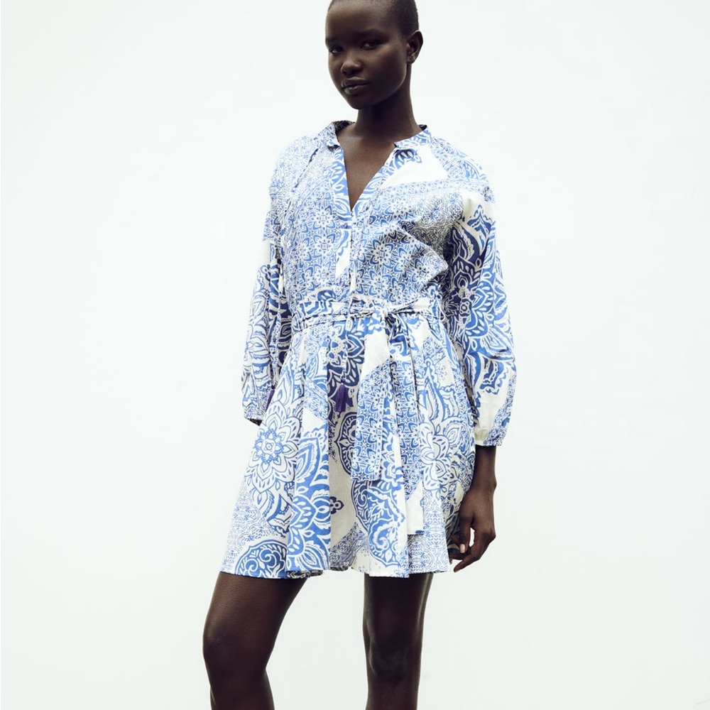 Zara Dress